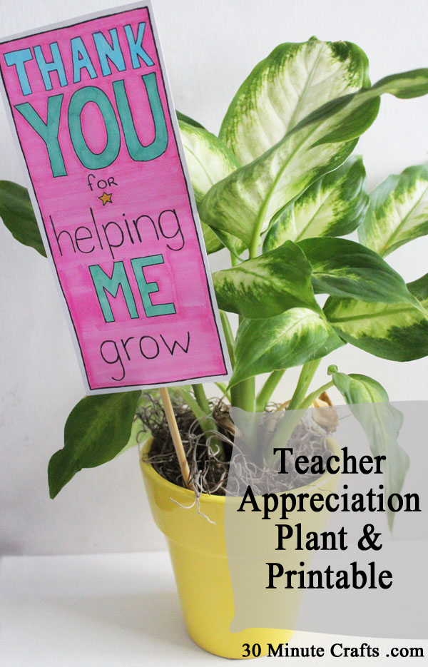 teacher-appreciation-plant-and-printable-30-minute-crafts