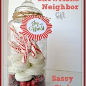 Simple Snowflake Neighbor gift with Sassy Style Redesign