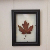 floating-leaf-wall-art-square