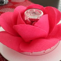 chocolate valentine rose