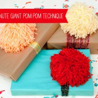 sixty second giant pom pom from handmade charlotte