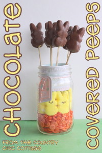 Chocolate Covered Peeps Marshmallow Pops- the Country Chic Cottage