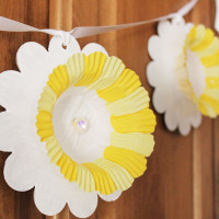 daffodil banner square