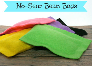 No Sew Bean Bags blog - seven alive
