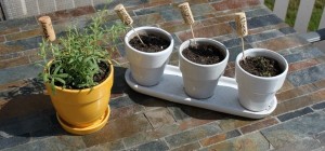 Wine Cork Garden Markers - Wait til your Father Gets Home