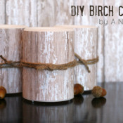 DIY Birch Candles from A Night Owl Blog