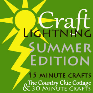 craft lightning summer edition button