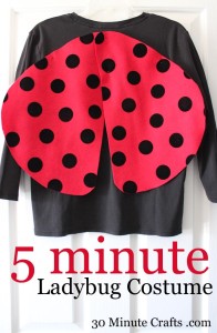 5 Minute Ladybug Costume on 30 Minute Crafts