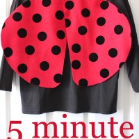 5 Minute Ladybug Costume on 30 Minute Crafts