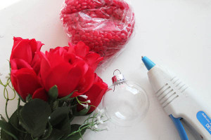 supplies for red hot roses