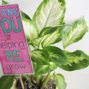 teacher appreciation - thank you for helping me grow
