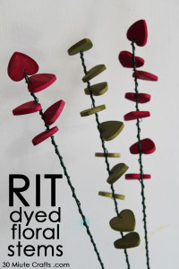 RIT Dyed floral stems tutorial