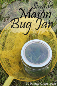 Simple Mason Bug Jar