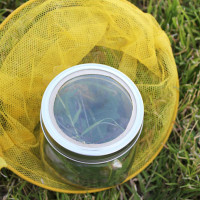 add a magnifying glass to a mason jar to make a bug jar