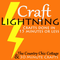 Craft Lightning May button