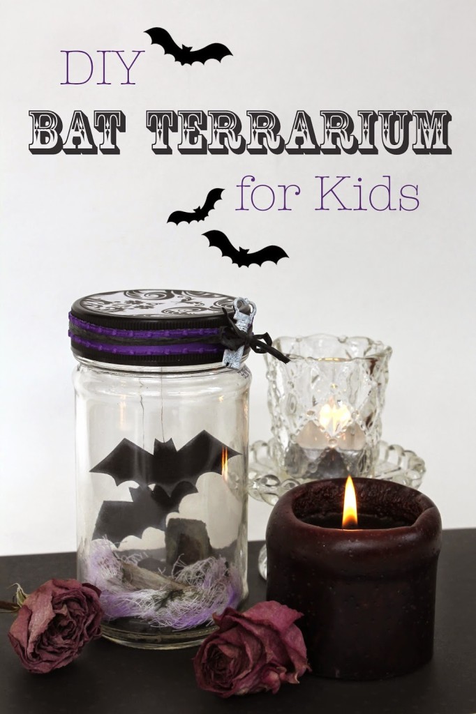 bat terrarium