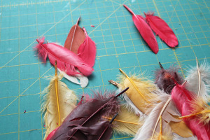 pick feathers