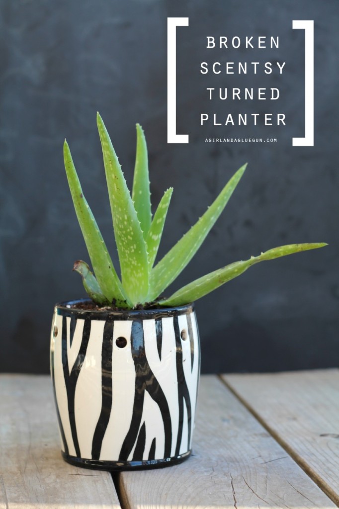 broken-scentsy-turned-planter-900x1350