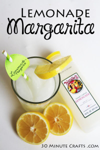 Lemonade Margarita Recipe