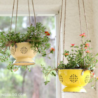 colander-planter creative savings blog