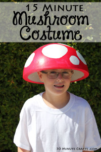 15 Minute Mushroom Costume