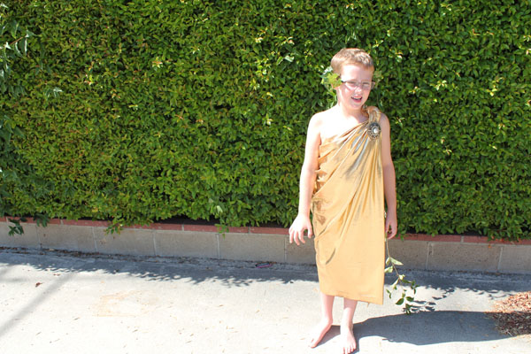 Easy 2024 toga costume