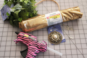 supplies for toga costume