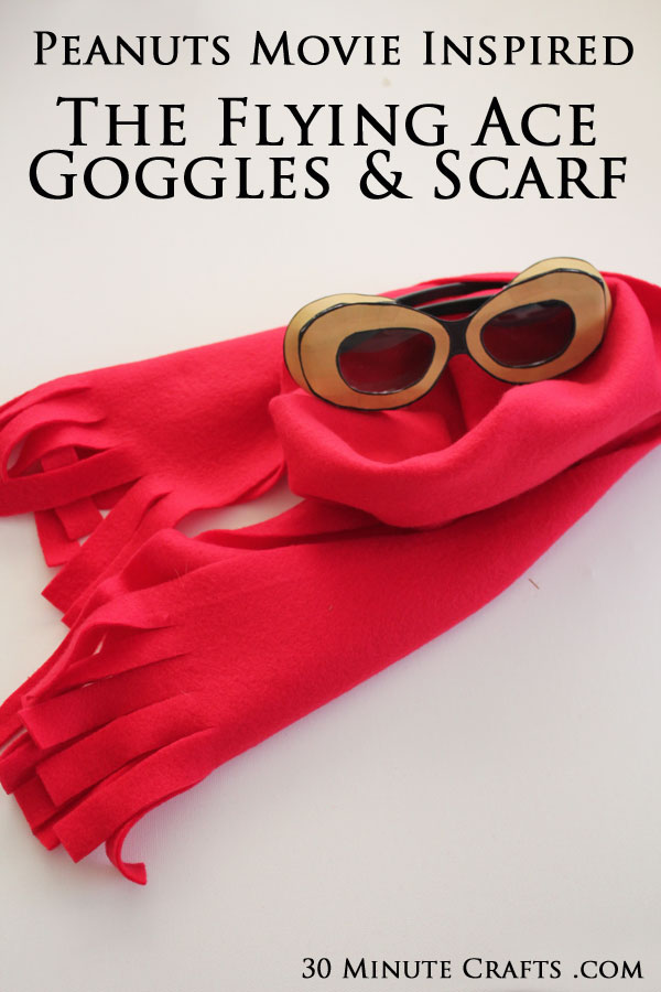 Flying goggles store and scarf