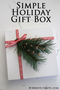 Simple Holiday Gift Box