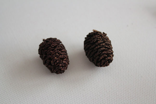 Alder Cone- 50 Pieces Mini pinecones