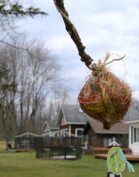 2016 Craft Lightning Busy Activities for the Birds Tied to the tree