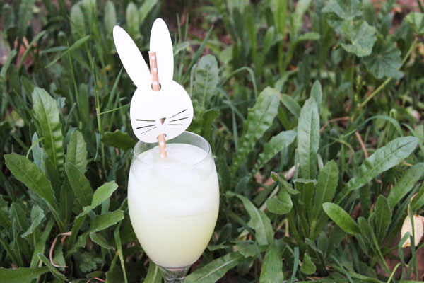 finished bunny straw