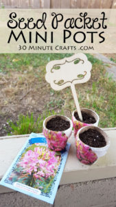 Easy to make Seed Packet Pots