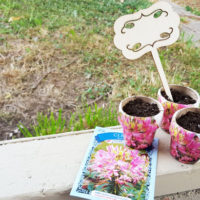 finished seed packet pots