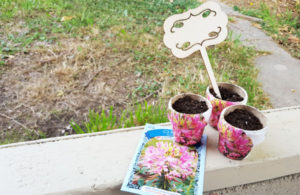 finished seed packet pots
