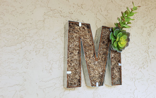 finished-succulent-monogram