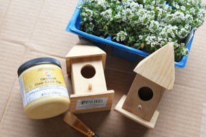 supplies for birdhouse planter