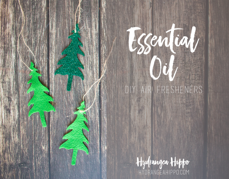 Essential-Oil-DIY-Air-Fresheners-by-Hydrangea-Hippo-750x587