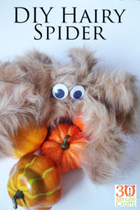 DIY Hairy Spider