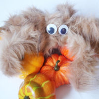 make a creepy hairy spider